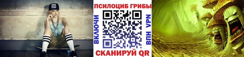 Галлюциногенные грибы Psilocybine cubensis  Купить где  Курск 